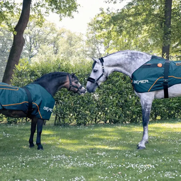 BEMER Applicator for Horses