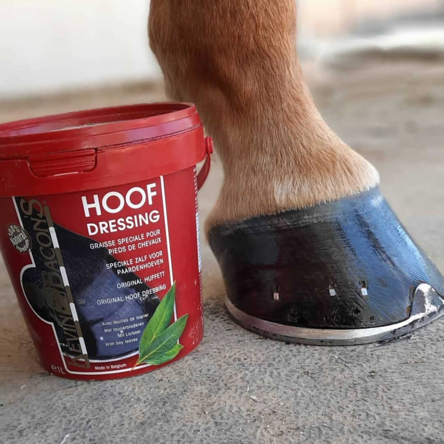 KEVIN BACON'S Hoof Grease kanopų balzamas
