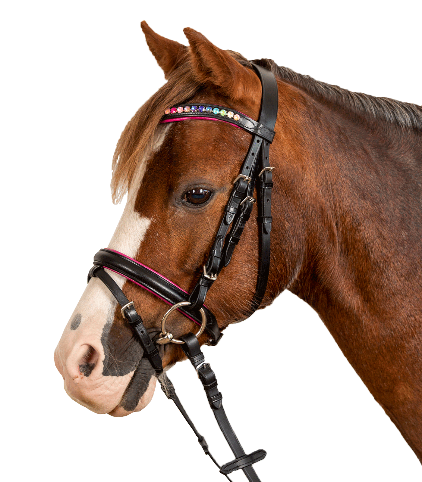 Pony Kamanos su Pavadžiais „Pinky Star“