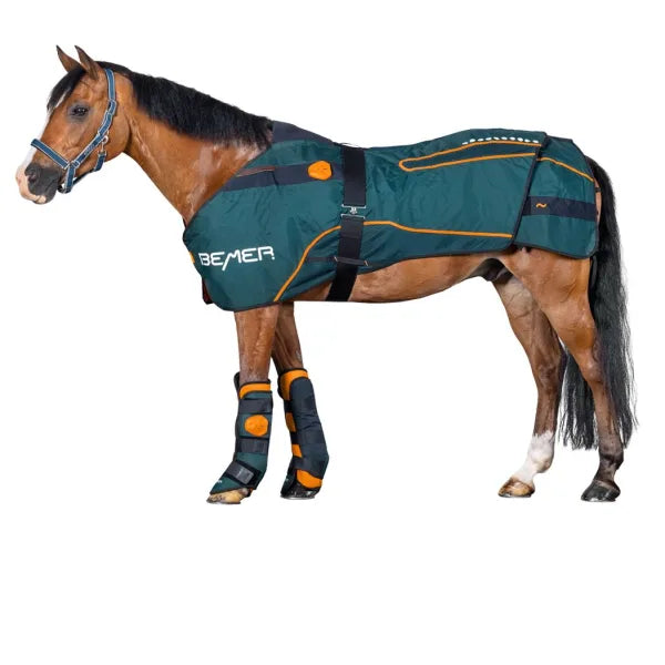 BEMER Applicator for Horses