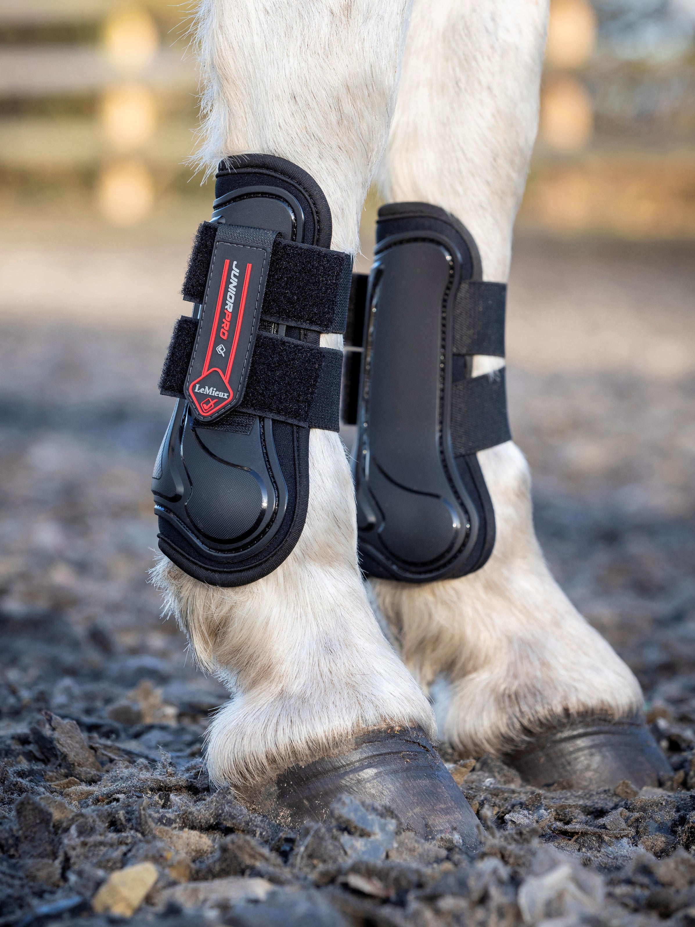 LEMIEUX PONY kojų apsaugos