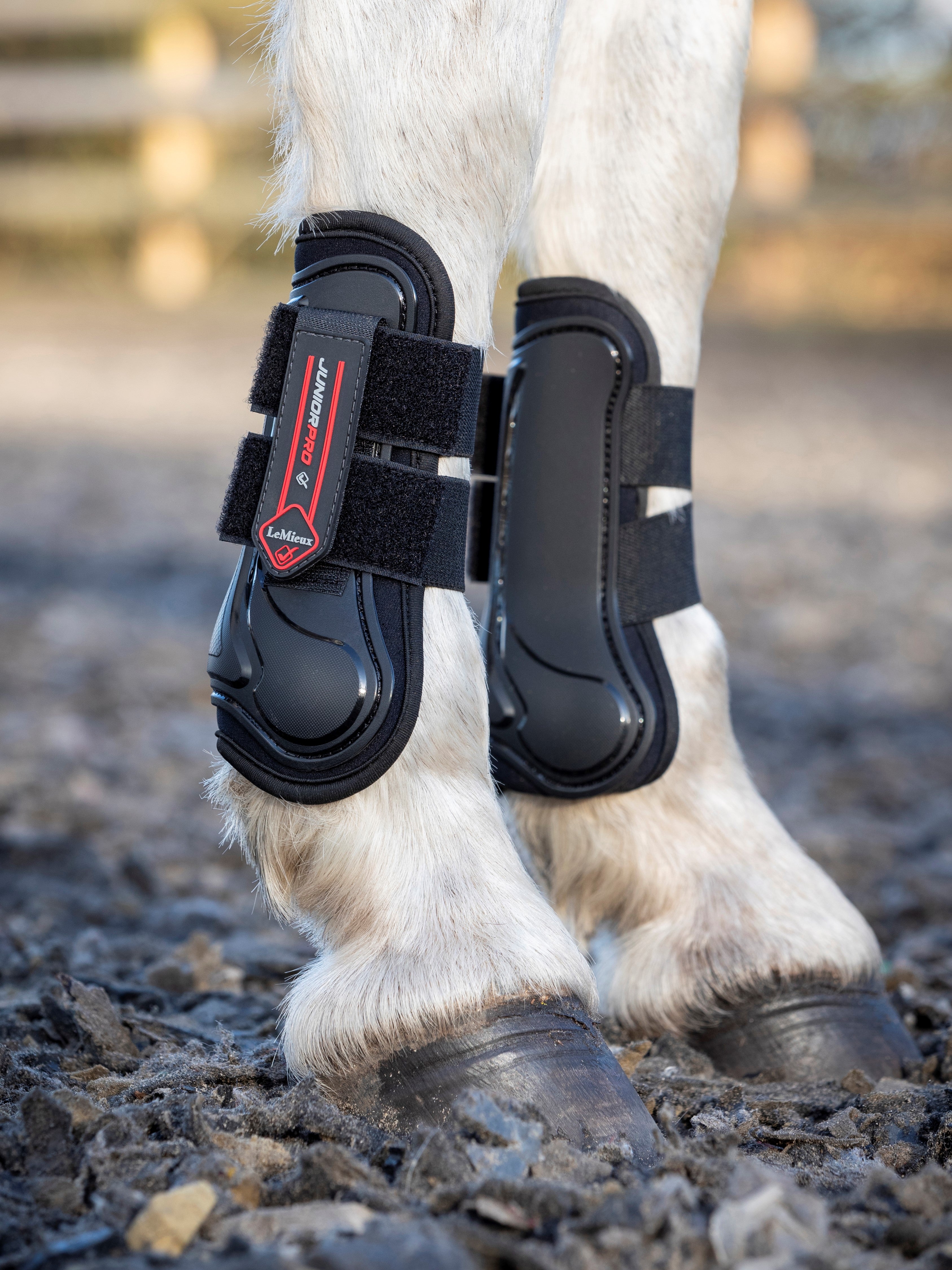 LEMIEUX PONY kojų apsaugos