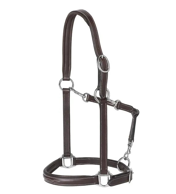 PRESTIGE Odinis Kantaro Modelis E53