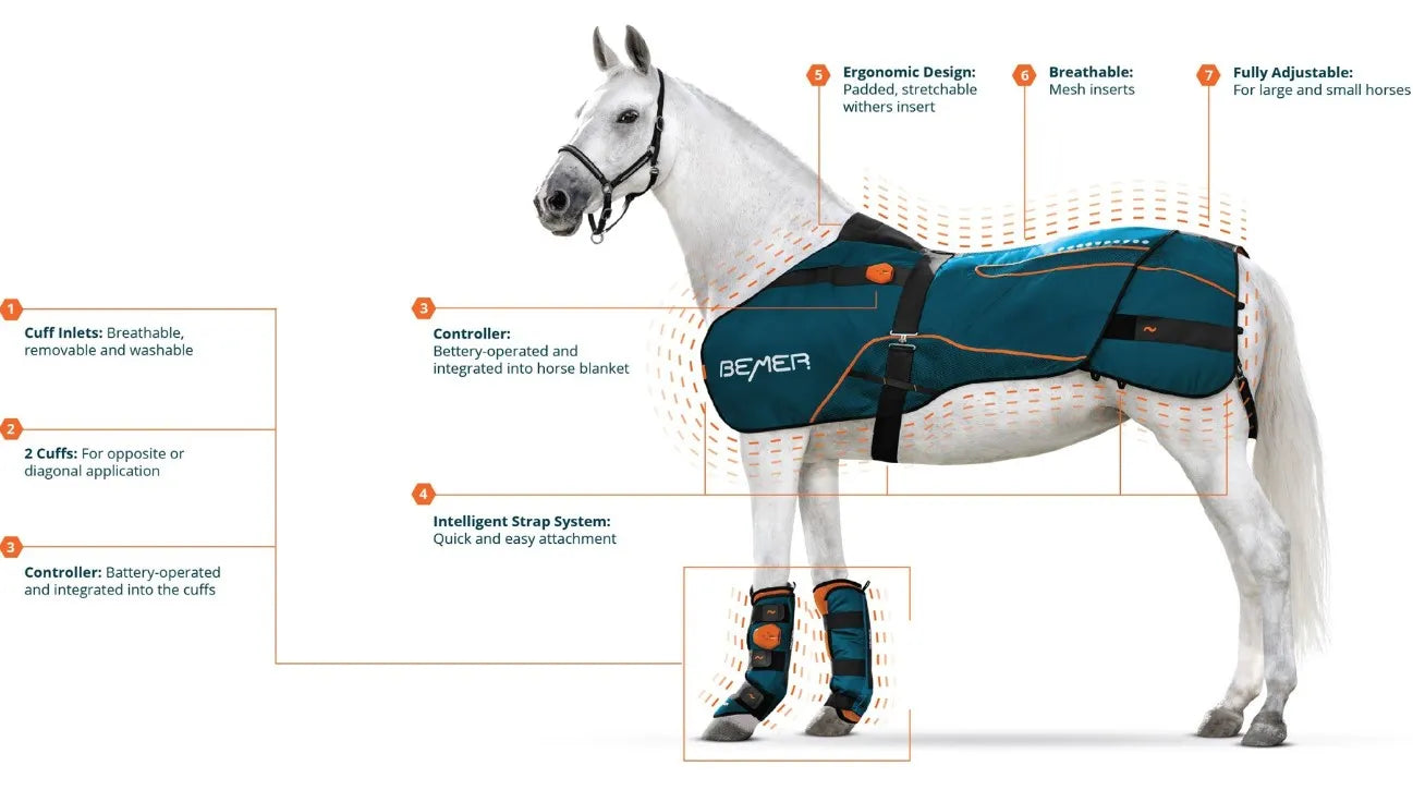 BEMER Applicator for Horses