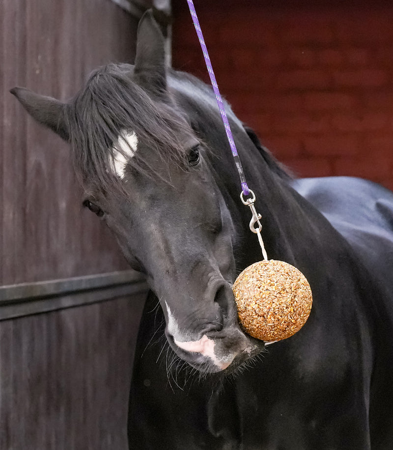 Likit Muesli skanėstas mėtinis 1.6kg