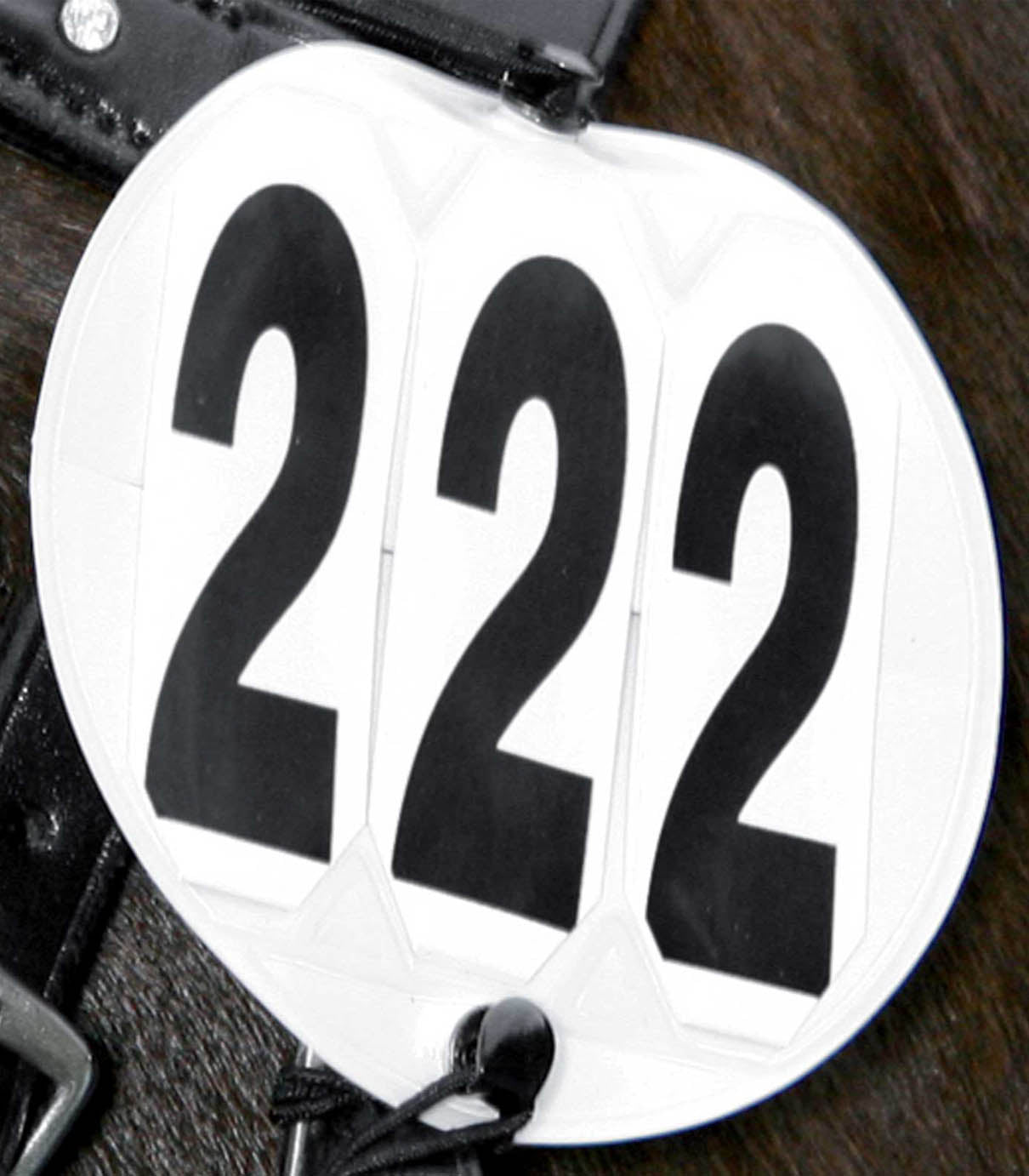 Klasikinis Varžybų Numeriukas