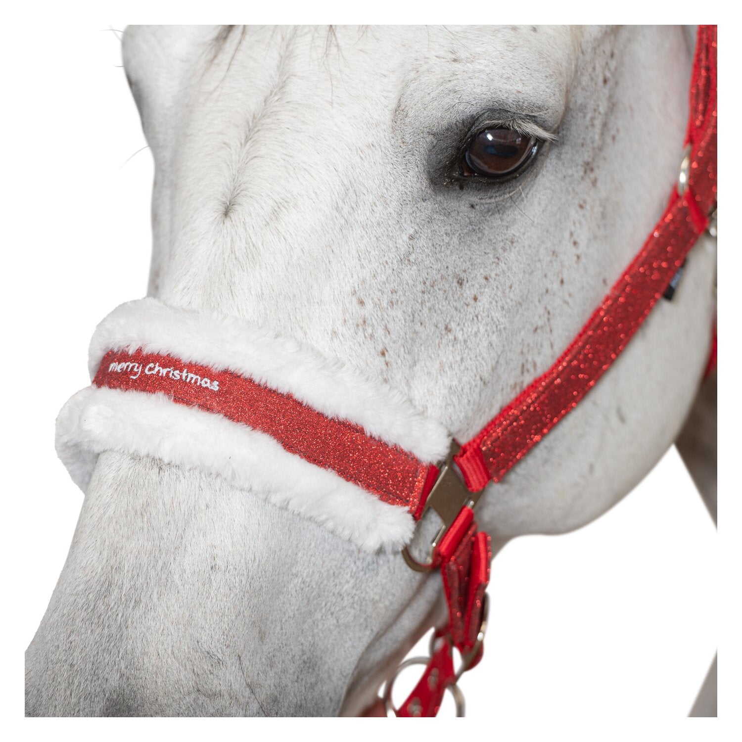 Kalėdinis kantaras žirgui