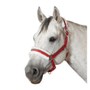 Kalėdinis kantaras žirgui