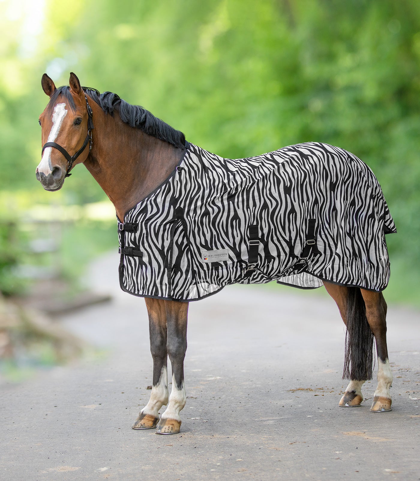 ZEBRA Gūnia nuo mašalų
