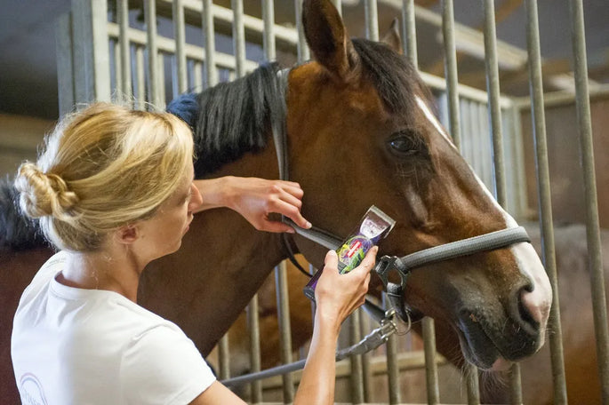 HEINIGER Saphir Cordless Horse Clipper