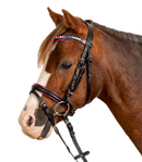 Pony Kamanos su Pavadžiais „Pinky Star“