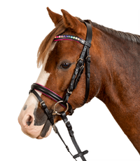 Pony Kamanos su Pavadžiais „Pinky Star“