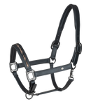 Waldhausen Crystal odinis kantaras