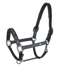 Waldhausen Crystal odinis kantaras