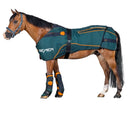BEMER Applicator for Horses