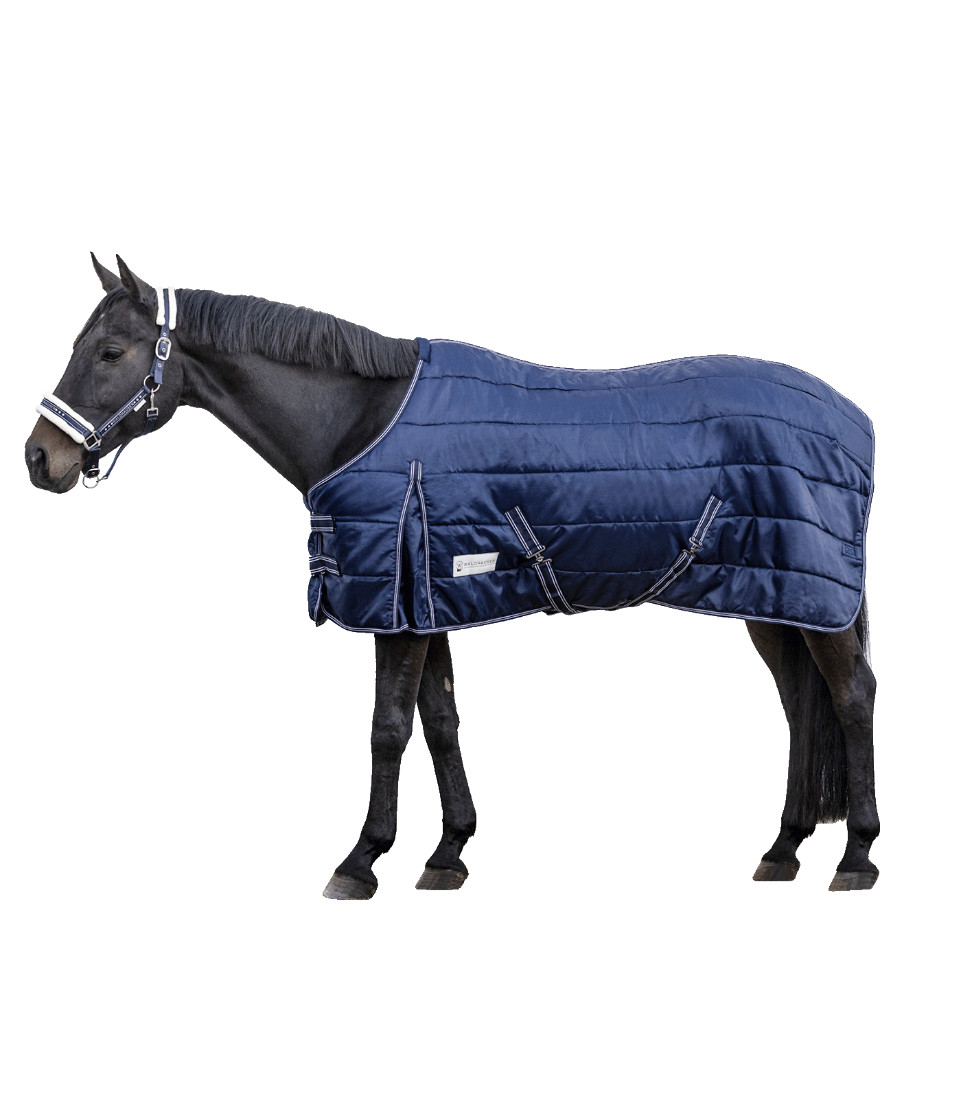 ECONOMIC gardinė gūnia žirgui 300g