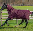 HORSEWARE 50 g lauko gūnia žirgui su kaklu 155cm