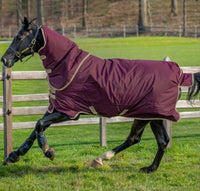 HORSEWARE 50 g lauko gūnia žirgui su kaklu 155cm