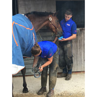HORSLYX Joint Support laižalas sąnarių priežiūrai