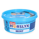 HORSLYX Mint laižalas kvėpavimo takams