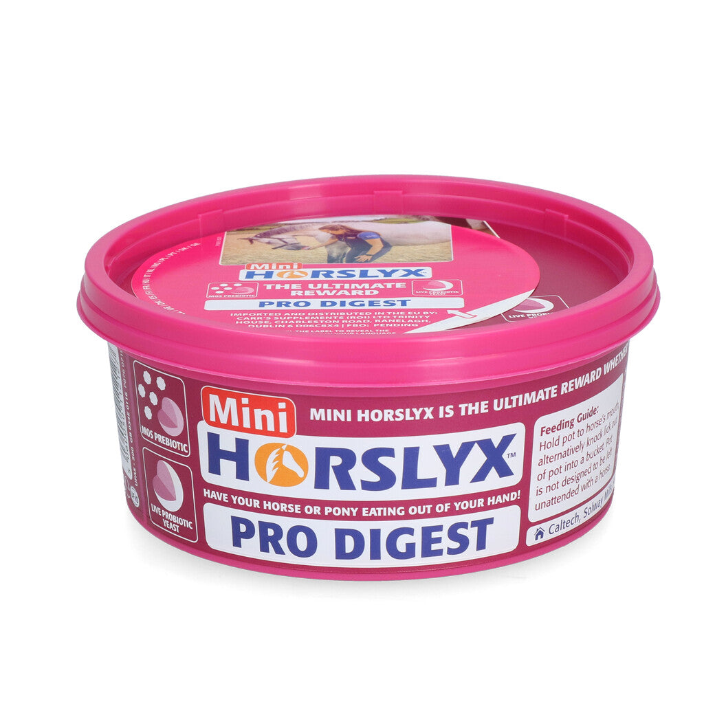 Horslyx Mini Selection Box (6 x 650 g) laižalų rinkinys dėžutėje