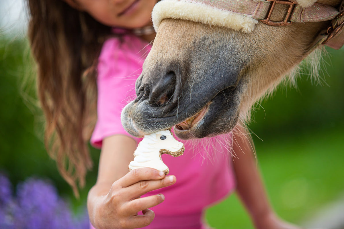 Unicorn – rankų darbo vienaragio formos skanėstas žirgams