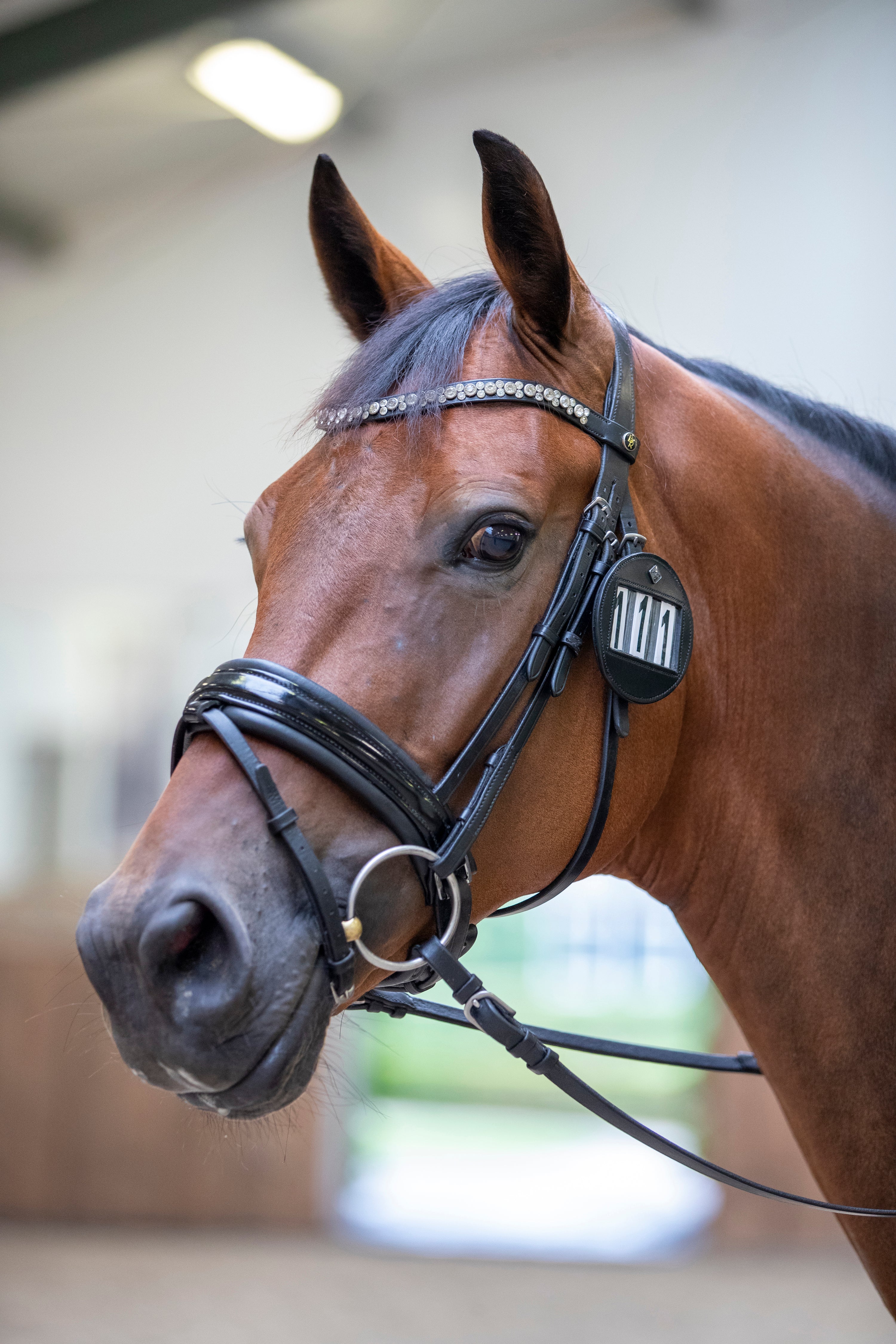 LEMIEUX Varžybų Numeriukas