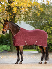 LeMieux Arika prakaitinė gūnia žirgui