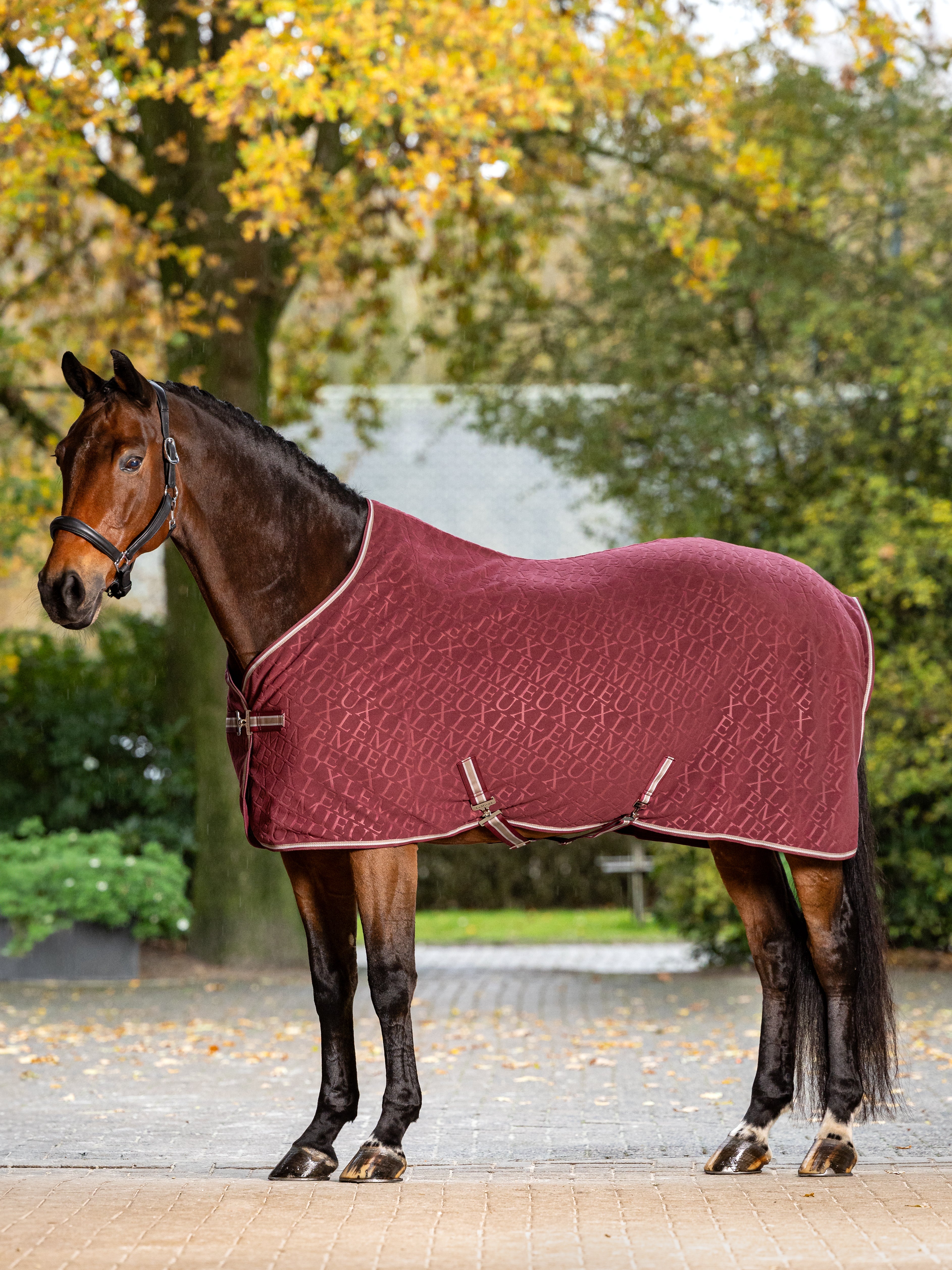 LeMieux Arika prakaitinė gūnia žirgui