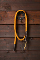 LeMieux Lasso vedžiojimo virvė, 2m