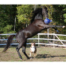 Jolly Ball žalias žaislas žirgui (25 cm)