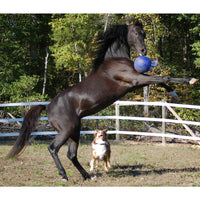 Jolly Ball žalias žaislas žirgui (25 cm)
