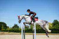 LeMieux Loire Cranberry elegantiškas pobalnis žirgui