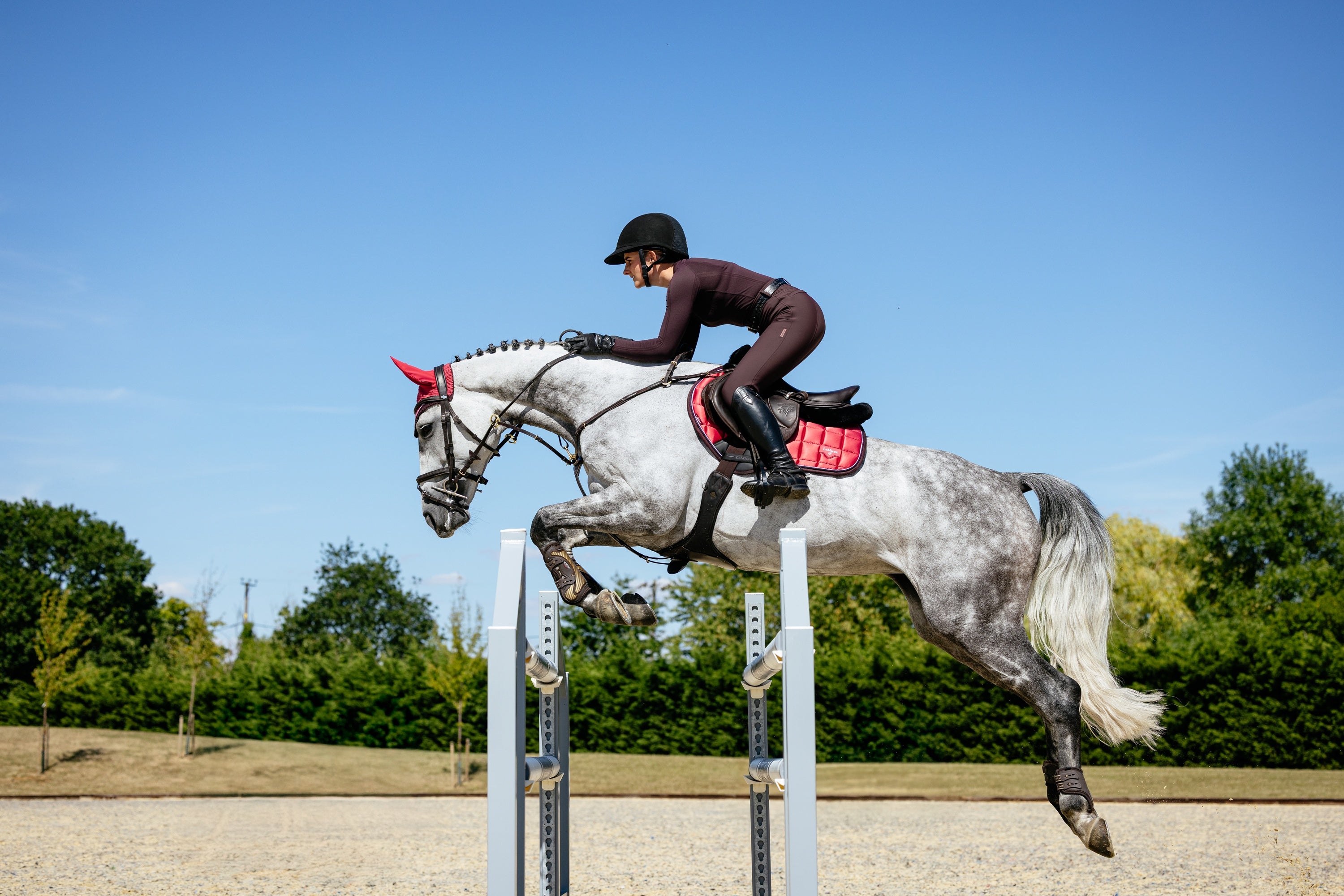 LeMieux Loire Cranberry elegantiškas pobalnis žirgui