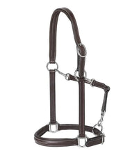 PRESTIGE Odinis Kantaro Modelis E53