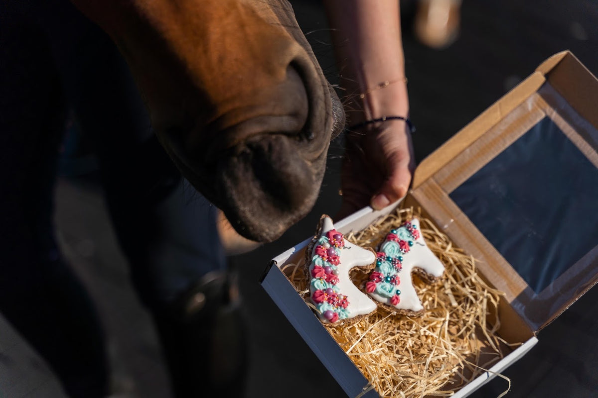 Unicorn – rankų darbo vienaragio formos skanėstas žirgams