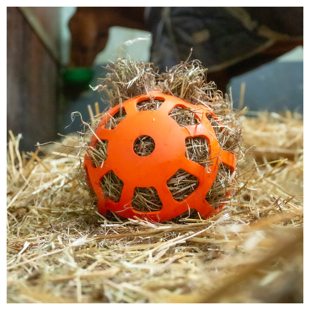 Hay Slow Feeder lėto šėrimo žaislas šienui