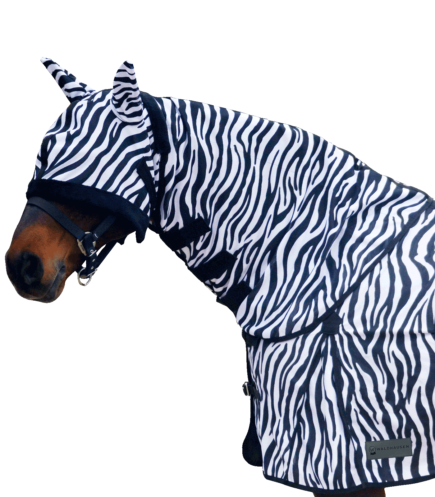 Kaklas Zebra gūnioms nuo mašalų