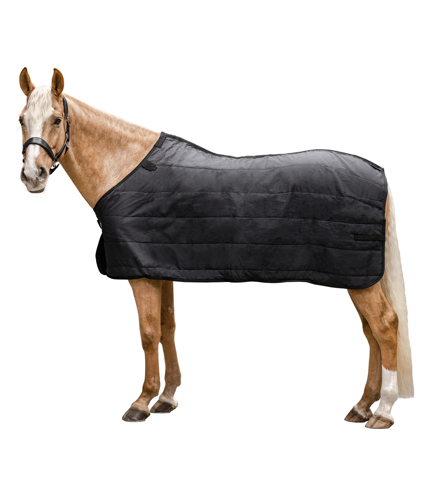 Waldhausen pamušalinė gūnia 200 g.