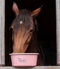 Waldhausen šėrimo dubuo su dangčiu 5l