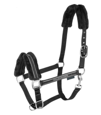 Elegant paminkštintas kantaras žirgui