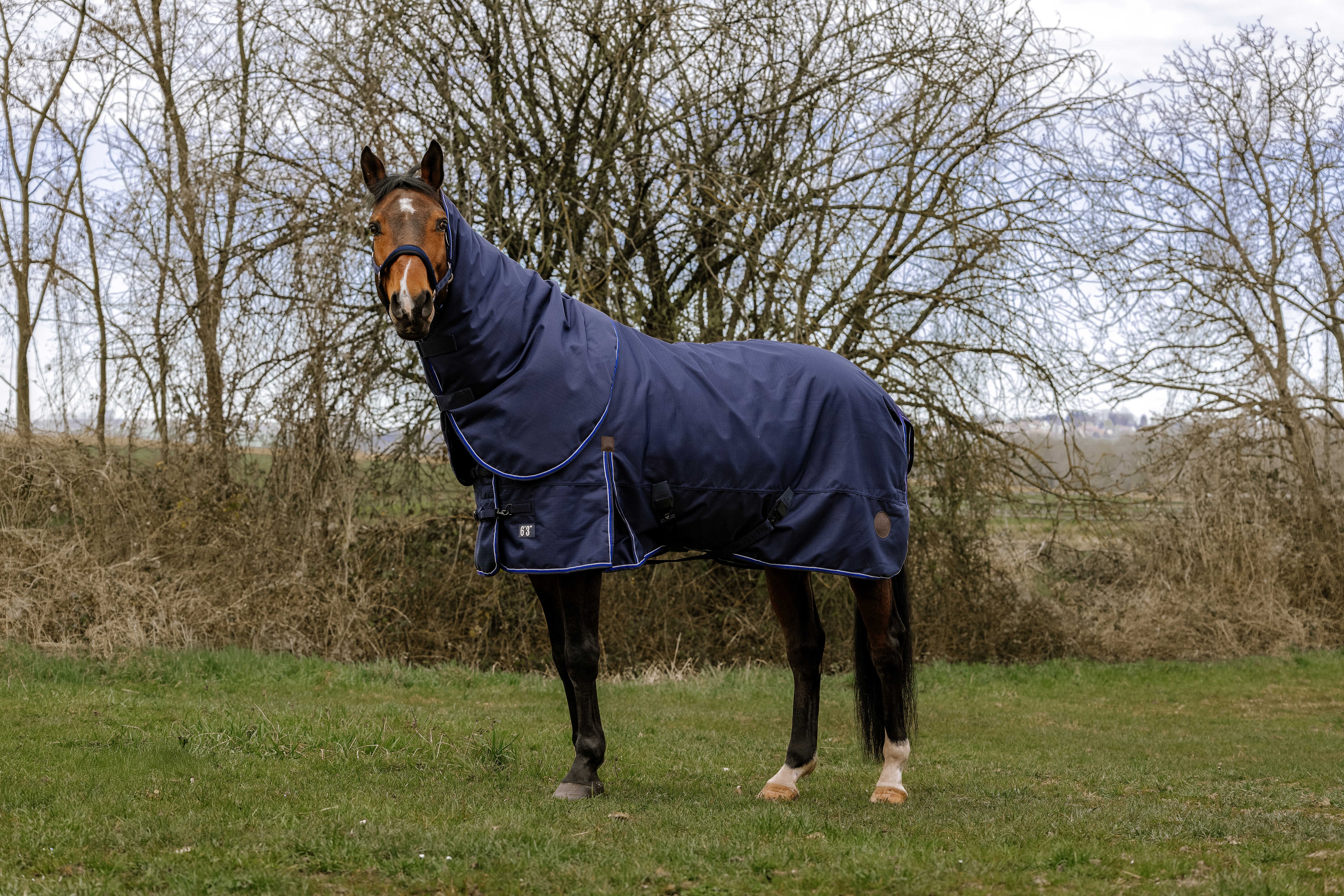EQUITHÈME 3 sluoksnių lauko gūnia žirgui, 200g