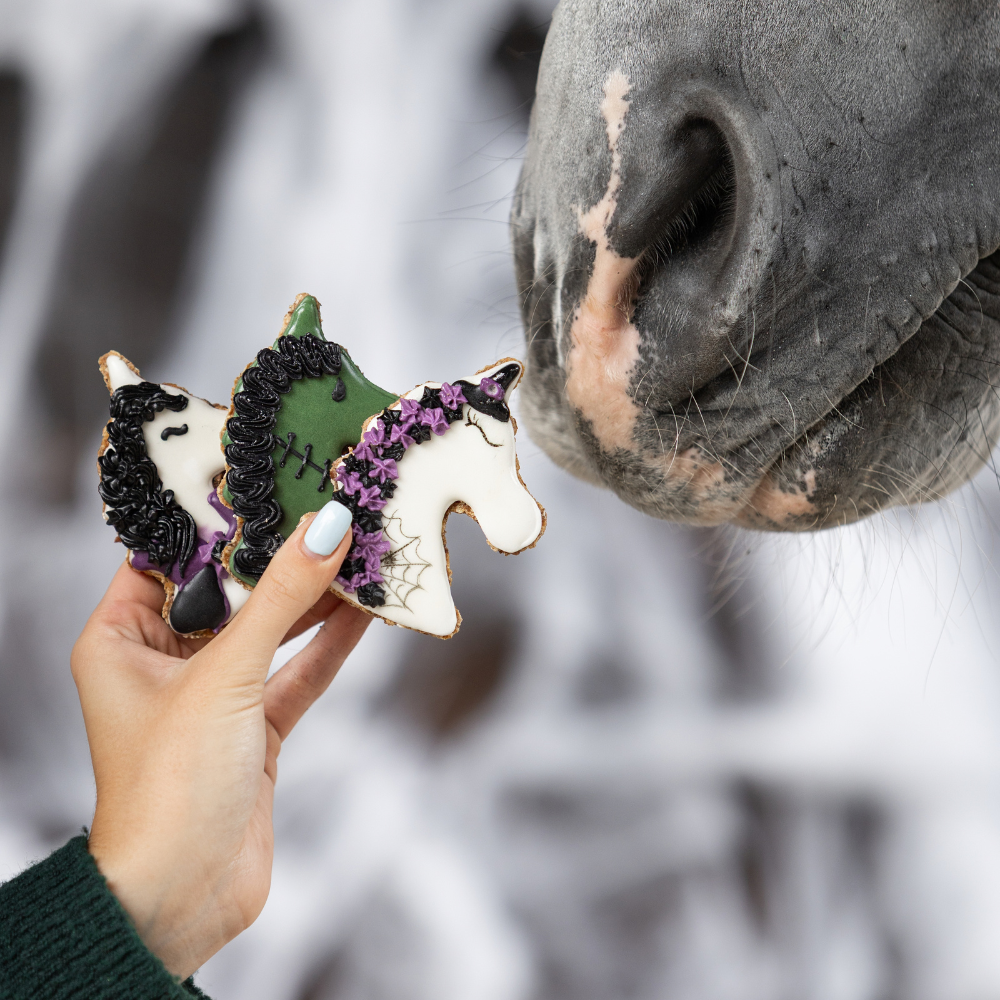 Halloween Unicorn – rankų darbo vienaragio formos skanėstas žirgui