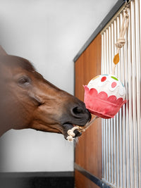 Lemieux žaislas žirgui „Cupcake“