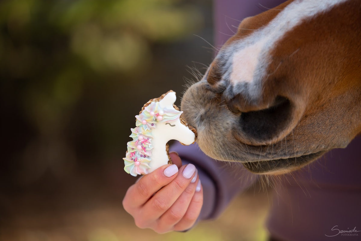 Unicorn – rankų darbo vienaragio formos skanėstas žirgams