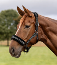 Elegant paminkštintas kantaras žirgui