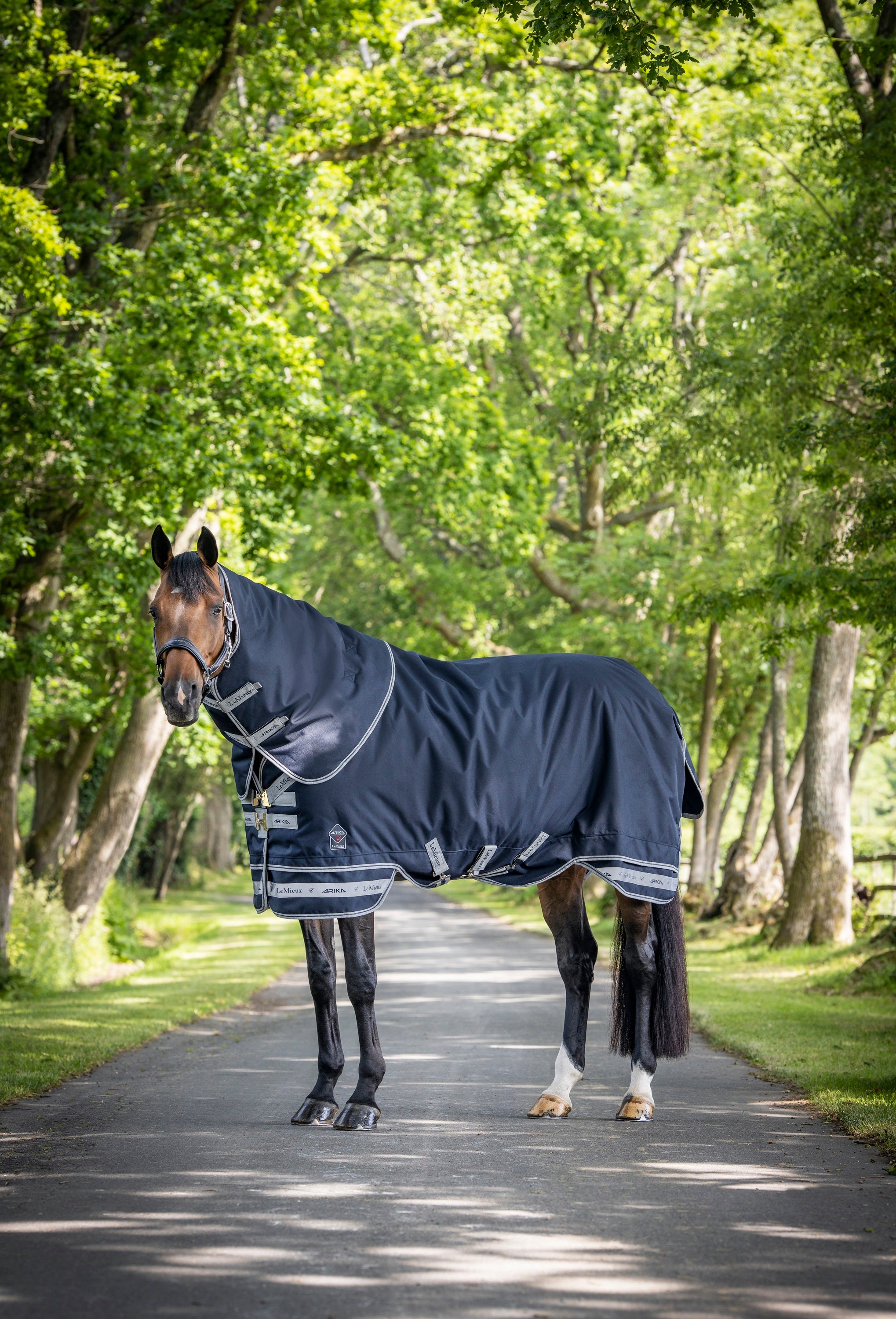 LeMieux Arika lauko gūnia su kaklu 100g 155cm