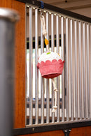 Lemieux žaislas žirgui „Cupcake“