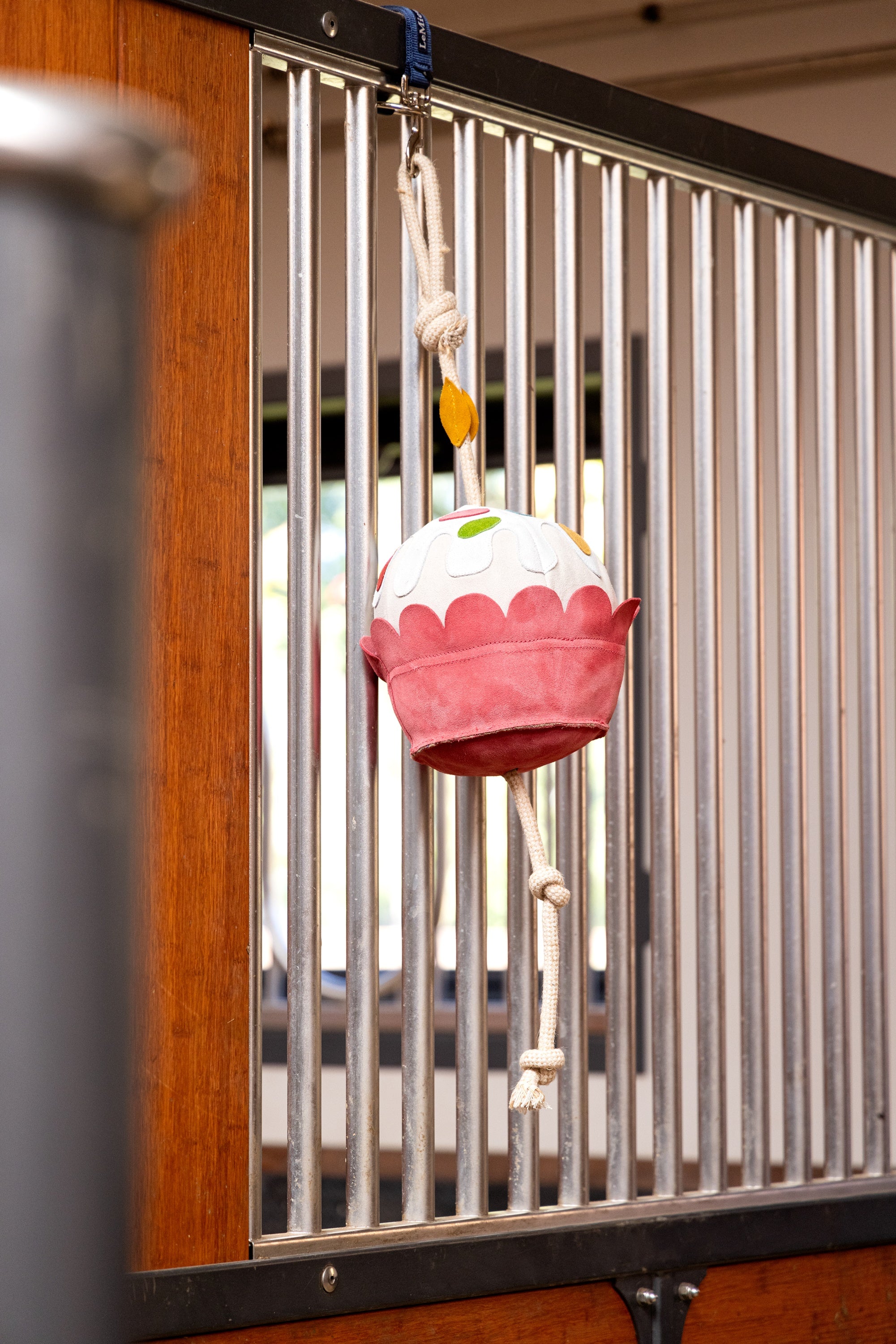 Lemieux žaislas žirgui „Cupcake“