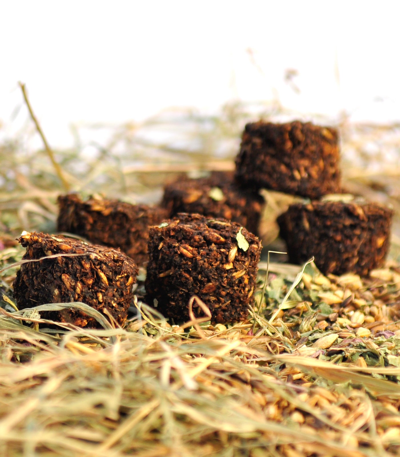 Stud Muffins Gingerbread skanėstai žirgams (15vnt.)